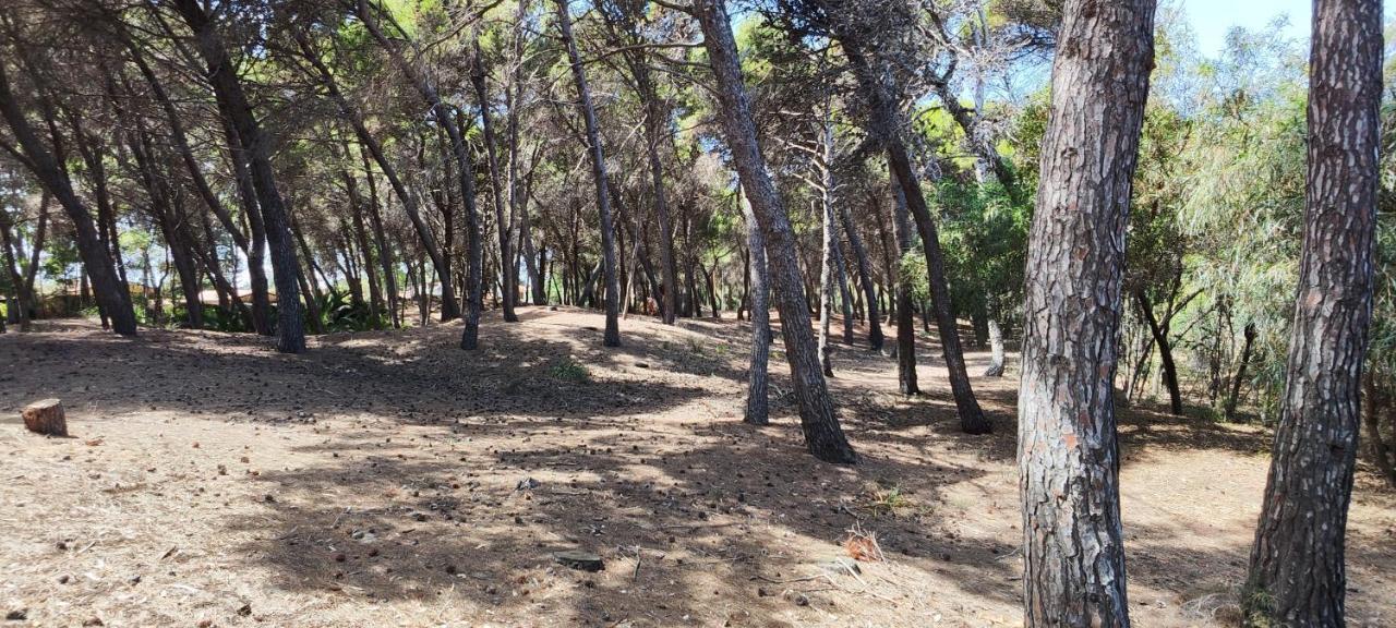 Oasis Escape Villa Vaccarizzo-Delfino Dış mekan fotoğraf