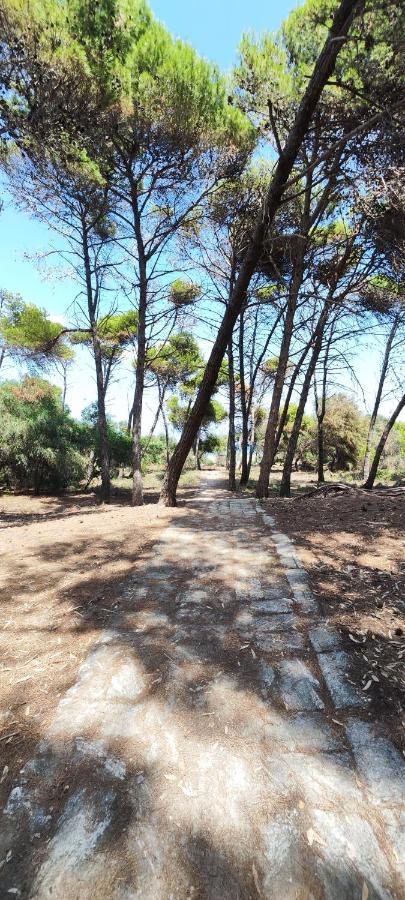 Oasis Escape Villa Vaccarizzo-Delfino Dış mekan fotoğraf