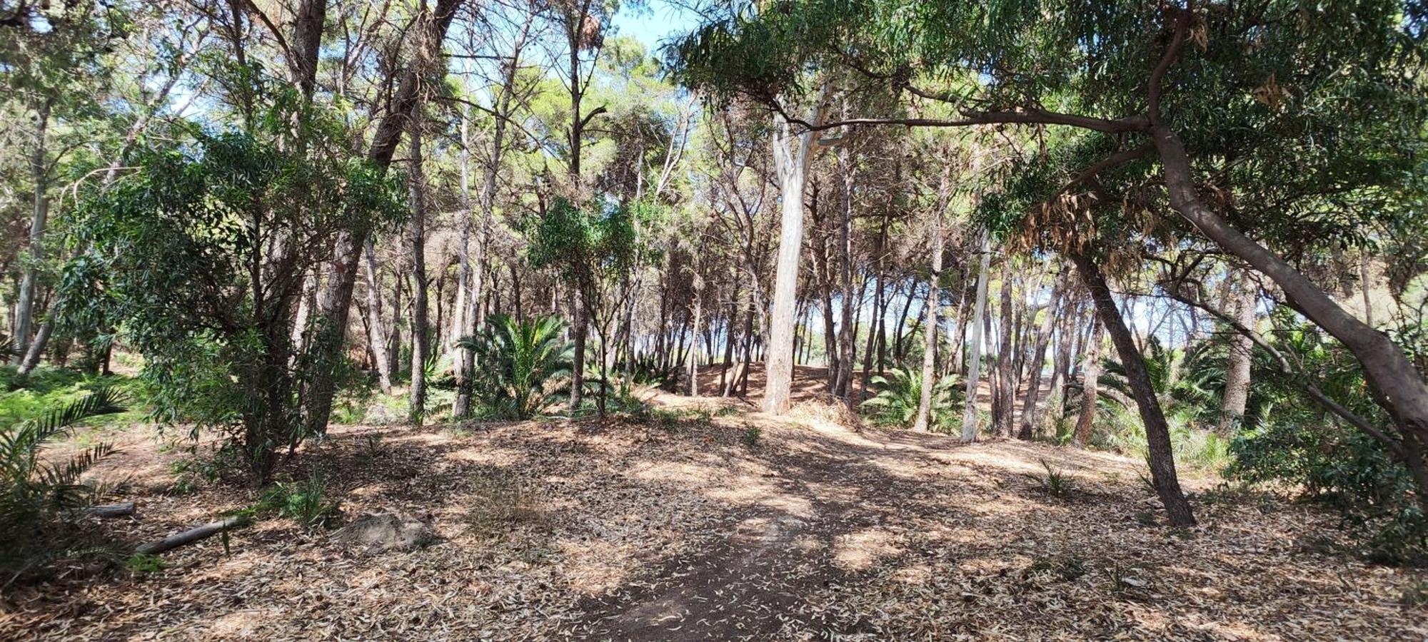 Oasis Escape Villa Vaccarizzo-Delfino Dış mekan fotoğraf