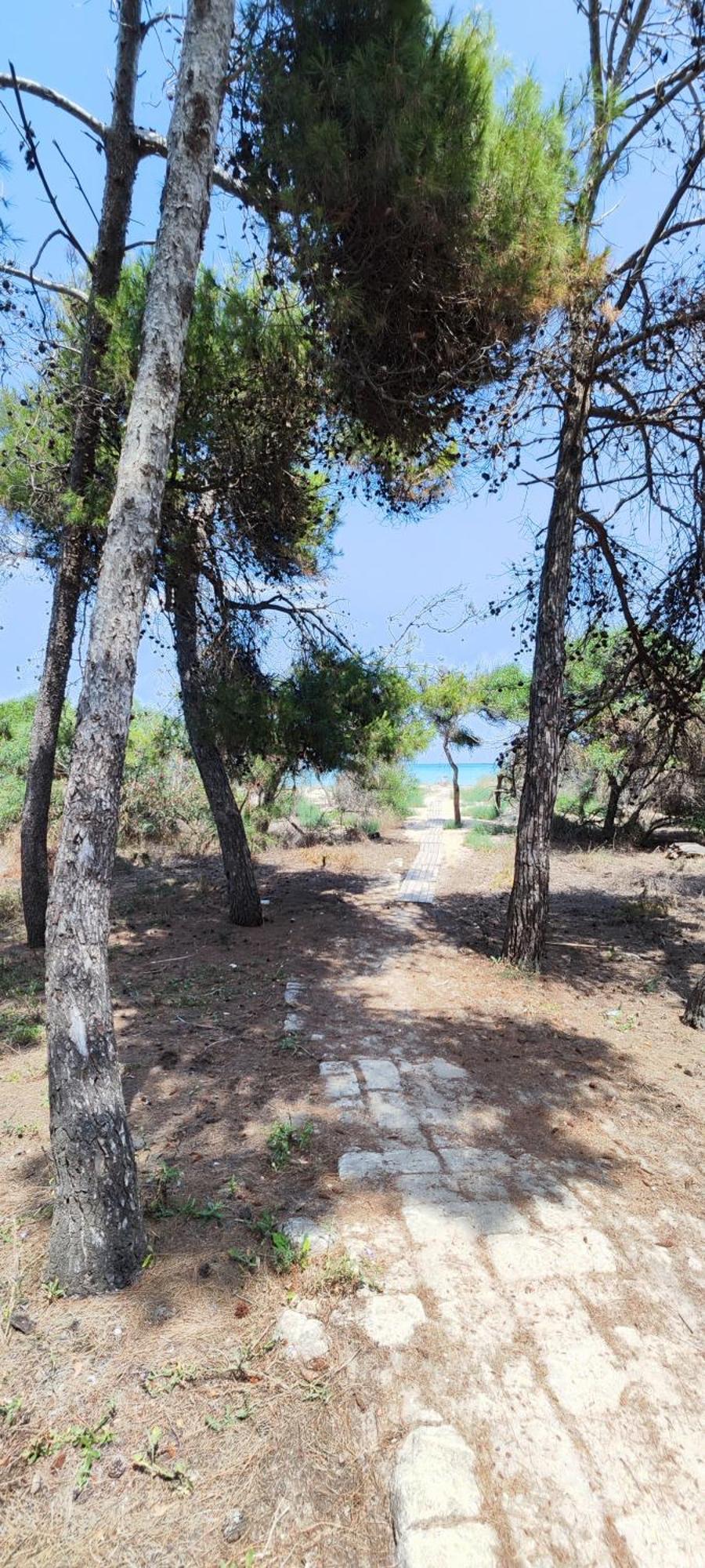 Oasis Escape Villa Vaccarizzo-Delfino Dış mekan fotoğraf